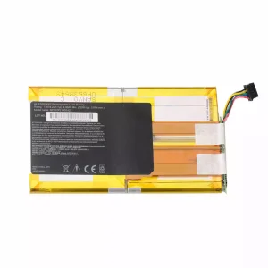 بطارية الجهاز اللوحي Getac BP2S2P2100S-EX,EX80 441874200007